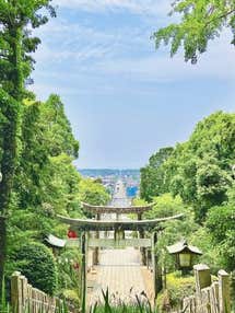 【バスハイク／添乗員同行／(福岡)天神発着】 ＜20名様限定募集＞ 鎮國寺でのお香づくり体験と 宮地嶽神社・津屋崎千軒 海の見えるカウンターで味わう本格寿司