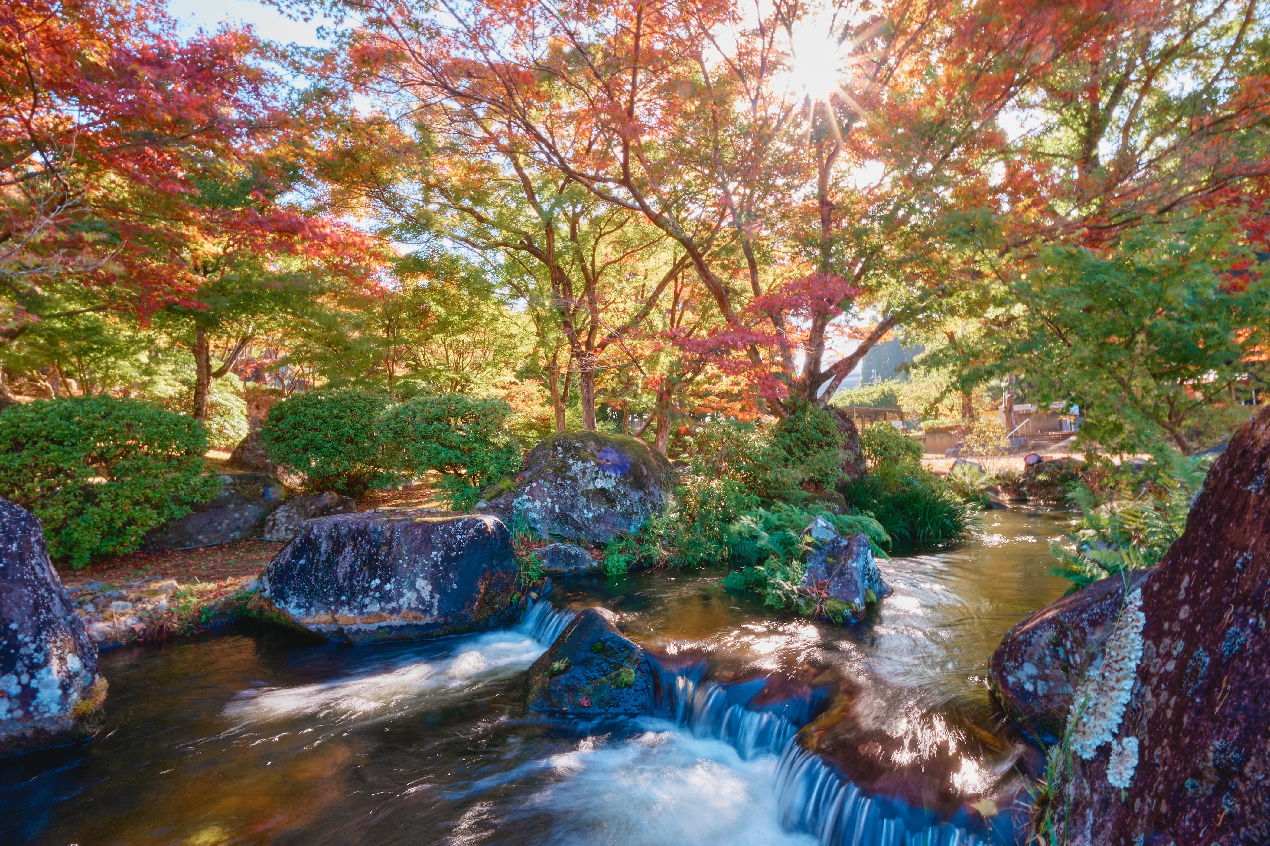紅葉の耶馬渓🍁日帰りバスツアー🚌3