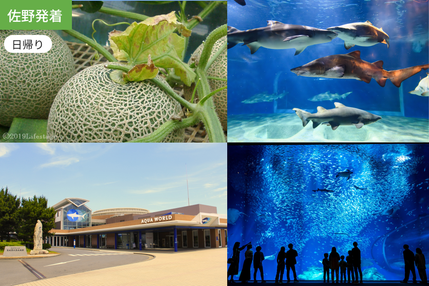 【佐野発着】甘くて楽しい！メロン狩りとうみのともだち/ WEB割引5%引き