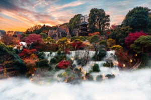 【上三川・下野・小山・佐野発着】憧れの「ホテル椿山荘東京」でランチ＆東京タワー見学【昼食付】3