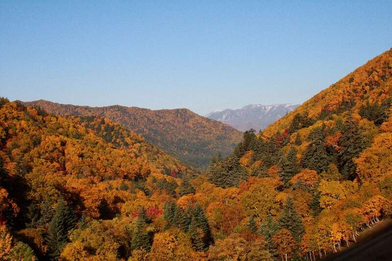 【福岡空港発】 日本一早い紅葉の大雪山と雄大な錦に燃える北海道４日間3