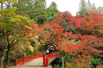 ベストシーズン!安芸の宮島・紅葉の紅葉谷庭園と日本三名橋!「錦帯橋」秋の山陽路 2日間【大和八木・橿原神宮・五位堂・藤井寺発】