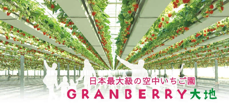 【埼玉県内発】 春の風物詩！水戸偕楽園梅まつり ～TVで何度も紹介される話題の空中いちご園でいちご狩り食べ放題～2