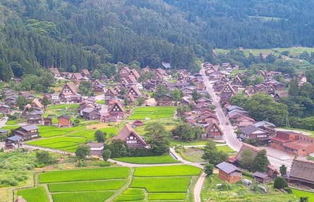 【横浜発】飛騨路ツアー 一度は行きたい！世界遺産白川郷と高山W散策　情緒あふれる飛騨路ツアー