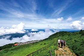 ﾒﾛﾝ・ｼｬｲﾝﾏｽｶｯﾄ食べ放題＆近江牛鉄板焼きと天空の伊吹山3
