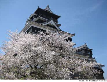 【福岡県内／博多駅　発】 大分・熊本「桜舞う名城・名所さくら街道」と阿蘇くじゅう絶景露天風呂2日間