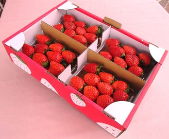 【茨城県内発】 茨城営業所＜あなたの街から、笑顔満開の旅へ＞！春の大感謝祭ミステリーツアー ～桜舞う観光地！いちご１箱お土産付！いちご狩り食べ放題！〇〇ブランド牛すき鍋食べ放題！～　日帰り