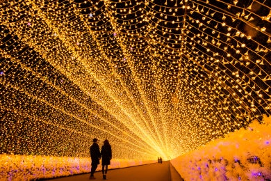 紅葉の香嵐渓となばなの里イルミネーション・小原四季桜2日間2