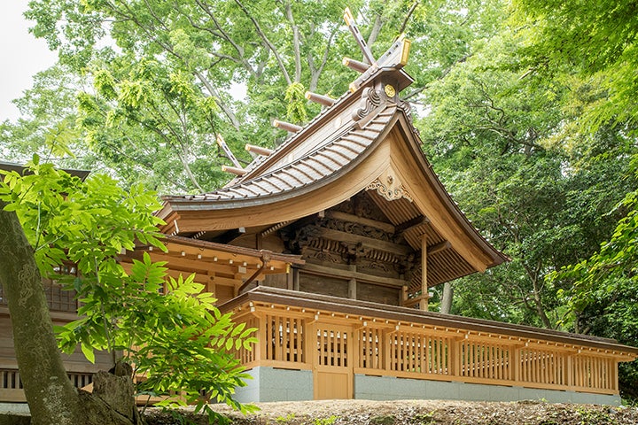 午年に参拝したい関東の神社　大杉神社（勝馬神社）バスツアー2