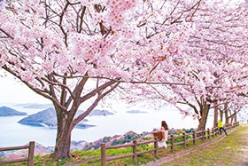 三木・加古川発
№9887 紫雲出山ハイキングツアー1
