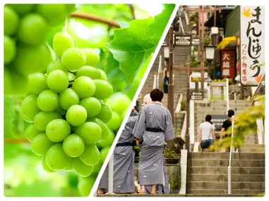 【新宿発】9,000円台～ぶっとび格安✨「シャインマスカット１房もぎとってお持ち帰り＆試食」💚×「伊香保温泉♨」散策×東洋のナイアガラ「吹割の滝」×大人気道の駅×昼食「特選牛すき焼き」 群馬グルメ日帰りバスツアー