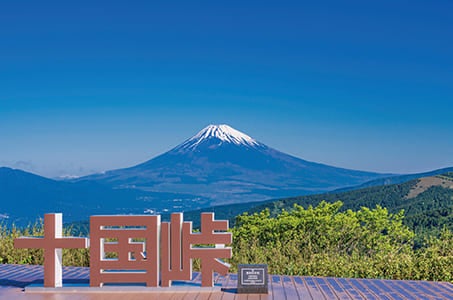 【JR福井県発着】富士山を望む3つの遊覧で巡る 当社基準最上級Sランクホテルに泊まる伊豆・箱根・富士周遊3日間　潮風薫る伊豆・麗しの箱根・絶景の宝庫富士3