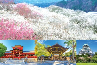 【広島駅・福山駅発着／新幹線利用】豊臣家ゆかりの地めぐりと春の美景“月ヶ瀬梅林”２日間 ～京の奥座敷 湯の花温泉宿泊～1