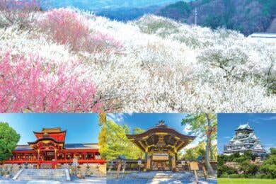 【広島駅・福山駅発着／新幹線利用】豊臣家ゆかりの地めぐりと春の美景“月ヶ瀬梅林”２日間 ～京の奥座敷 湯の花温泉宿泊～