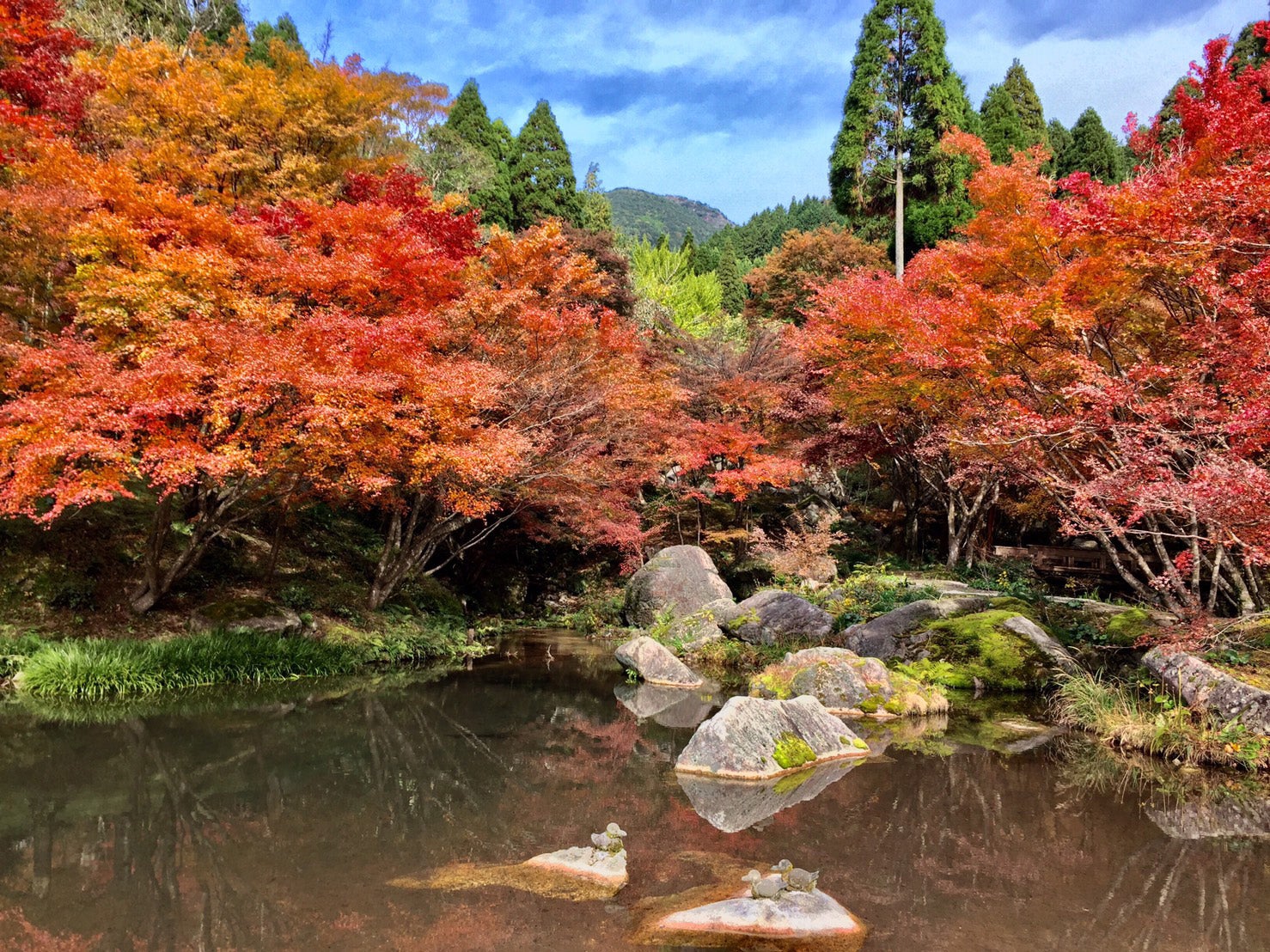 【徳山・防府・新山口発】 ハウステンボス九州一大花火まつりと逆さ紅葉の環境芸術の森・秋に咲くひまわり鑑賞２日間1