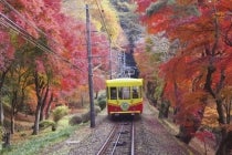 １名参加ＯK！【浄水・梅坪・豊田発】＊１泊４食付＊『絶景の昇仙峡と日本一の急勾配高尾山ケーブルカー　河口湖温泉』1