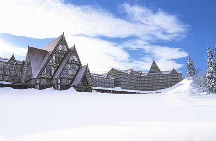 【往復新幹線指定席で行く】「ホテルグリーンプラザ上越」 2泊3日【滞在中リフト入場券＆ブランドレンタル(ホテル貸出)付】【夕食・翌朝食付】