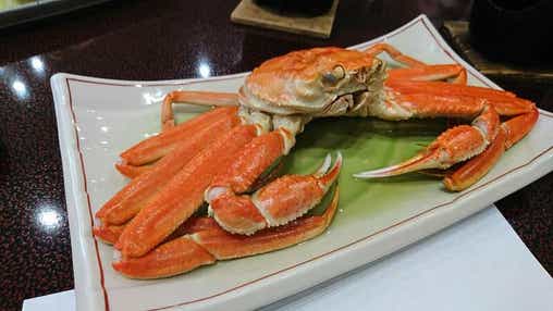 【京滋エリア発】 日本海眺望の宿「シーサイド佐竹」で味わうかに会席 日帰り