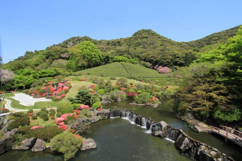 【博多発】大和花菖蒲一般公開・深川製磁ラベンダー・慧洲園のサツキ　佐賀３つの花めぐるメロびわバスツアー 　日帰り　2