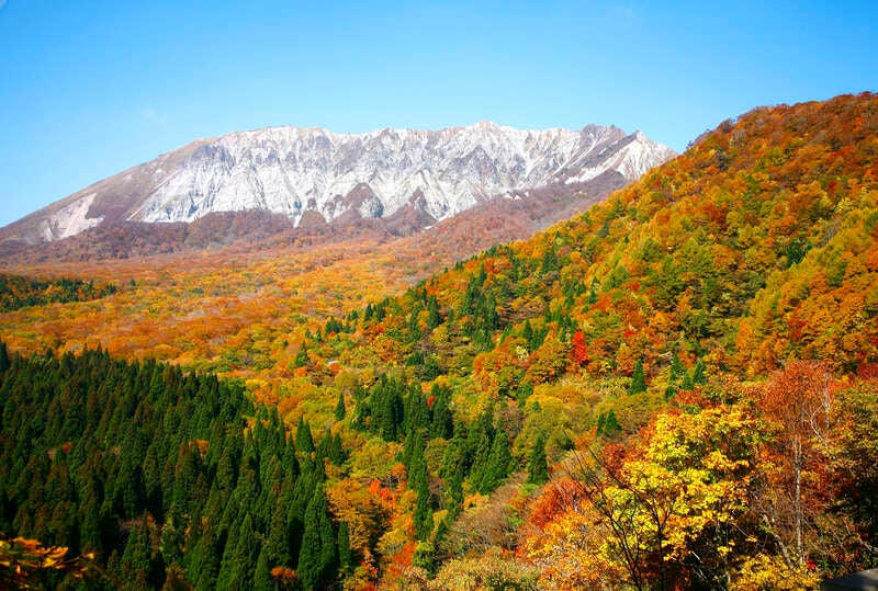 【高松・坂出発】紅葉の蒜山大山ドライブ　日帰り1