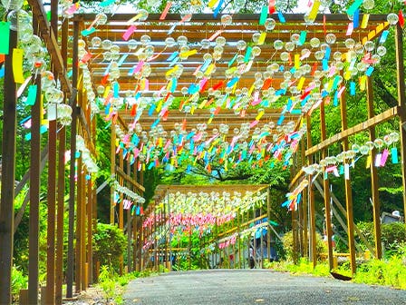 中部発　日帰り　納涼三３か所巡り＆盛りだくさんの特典お土産付！伊吹山　星空ナイトツアー！のガイド付観賞会2
