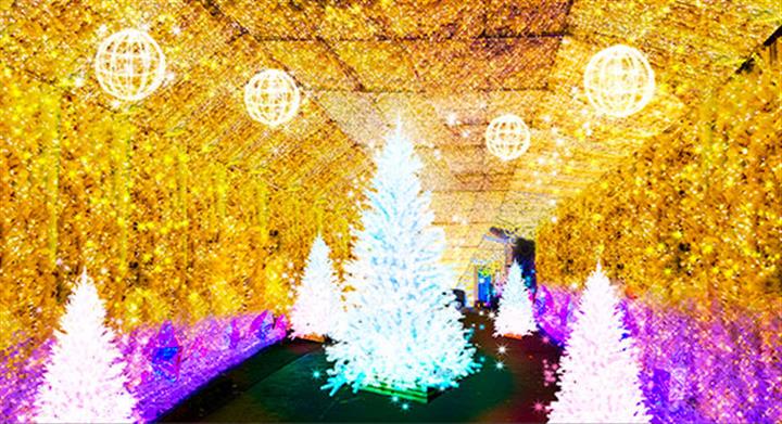 ＜新宿発・西船橋発＞ 開運！初富士を望むお正月 三嶋大社初詣 と 海鮮グルメ天国・沼津港で選べるランチ　そして、光のトンネル！時之栖イルミネーション『ひかりのすみか』3