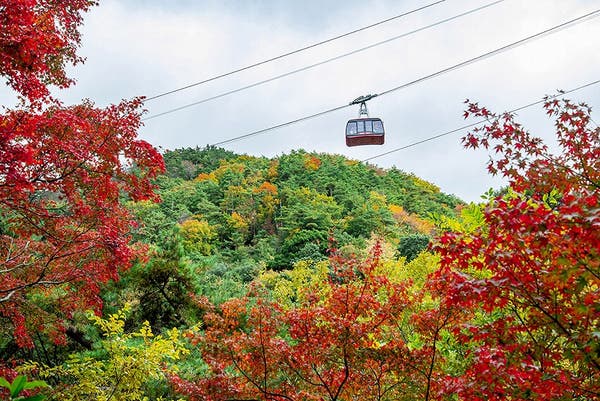 【泉州地区発】 紅葉の神戸六甲ハイライト　日帰り2