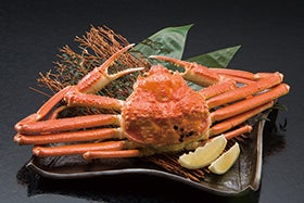 冬の味覚　北陸カニ三昧の旅2