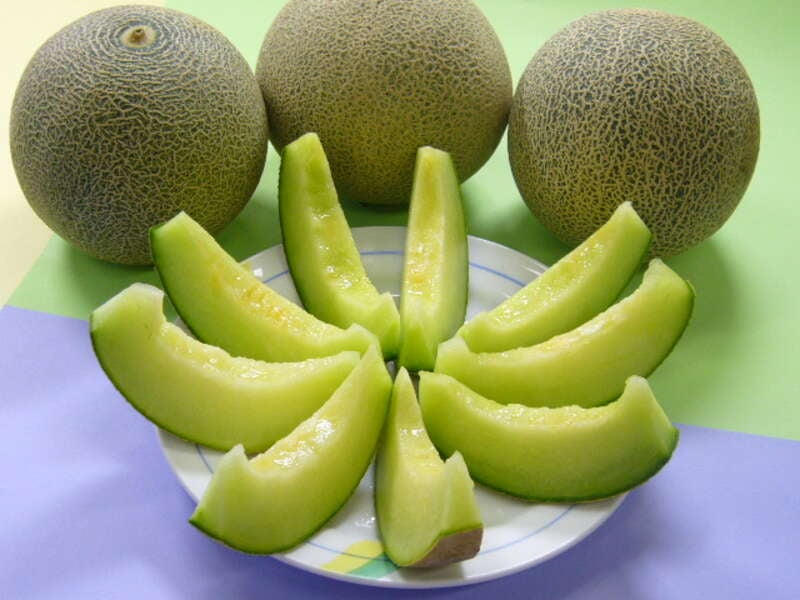 【泉州地区発】 丹波フルーツフラワーフェスティバル！ さくらんぼ＆メロン2種食べ放題と初夏の3つの花景色　日帰り2