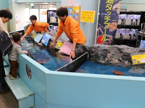 【名古屋発】家族で体験！赤ちゃん海がめ放流と珍しい生き物がいっぱいの大人気竹島水族館3
