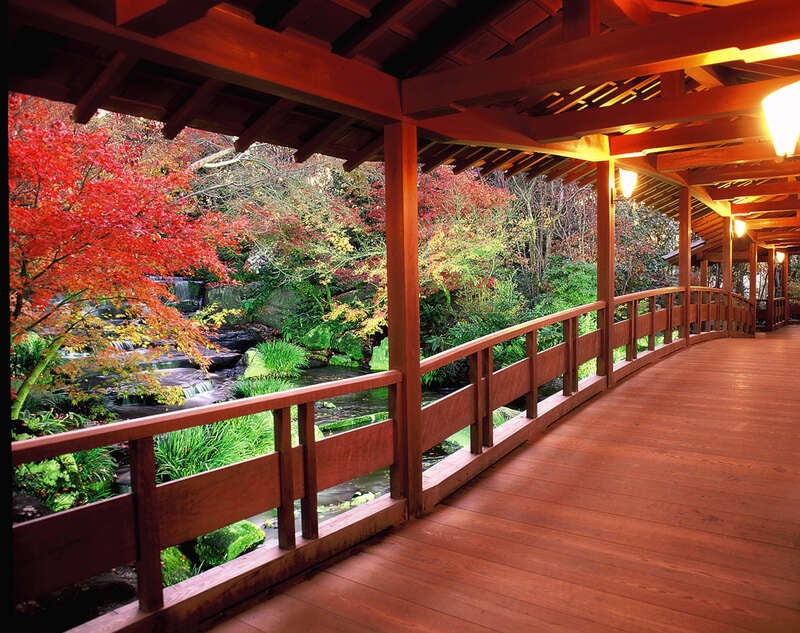 【泉州地区発】 こんな旅してみたかった！姫路モノリスでランチと 秋色の好古園と書写山ロープウェイ＆円教寺　日帰り3