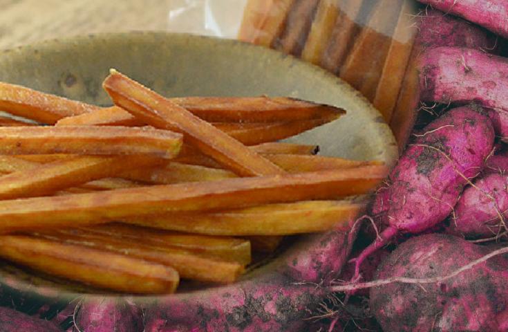 1/23・31・2/7・15・28催行決定🚌[新宿発]千葉で大人気の海鮮浜焼き＆房総いちご狩り食べ放題♪はちみつ工房の見学や食べ比べ試食体験、カリッと揚げたて芋けんぴのご試食やお買い物等、早春の千葉を大満喫の日帰りバスツアー!3