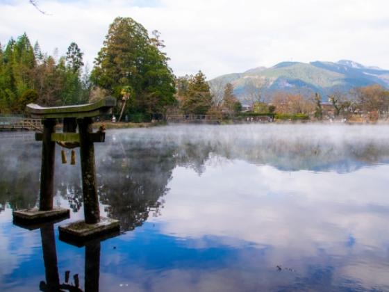 【添乗員同行／日帰り／博多駅発着】 人気観光列車 ゆふいんの森・あそぼーい!・九州新幹線 3つの列車に乗車！湯布院・阿蘇 ぐるっと日帰り列車旅2