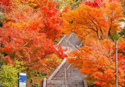 長門湯本温泉街 紅葉の階段と東行庵もみじ谷と紅葉の大寧寺