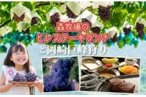 【木曽川・一宮発】＊日帰り昼食付＊『森牧場のヒレステーキランチと岡崎巨峰狩り』2