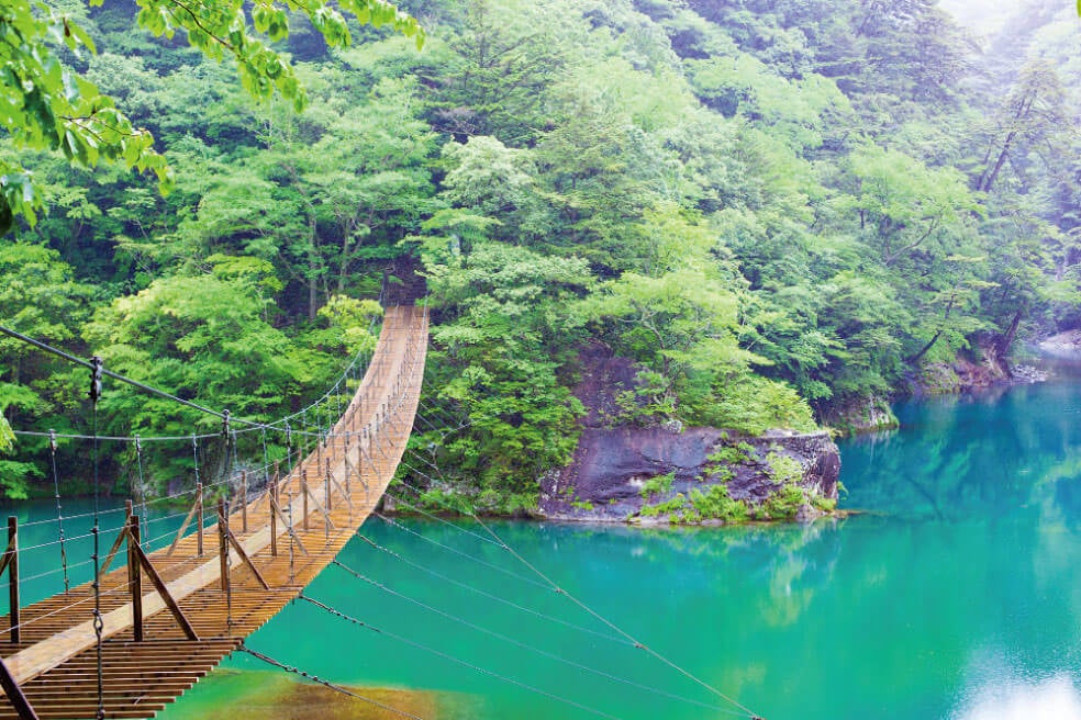 ＜静岡＞寸又峡温泉「翠紅苑」で過ごす至福のひととき 2日間　～大井川鐵道南アルプスあぷとラインご乗車～【明石・三宮乗車】3