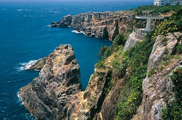 【JR利用/富山県発着】オールインクルーシブ温泉リゾートホテルと大洞窟風呂「忘帰洞」の宿に泊まるぐるり南紀15景3日間　高野山・熊野三山・潮岬・南紀白浜　紀伊半島を一度にめぐる！1