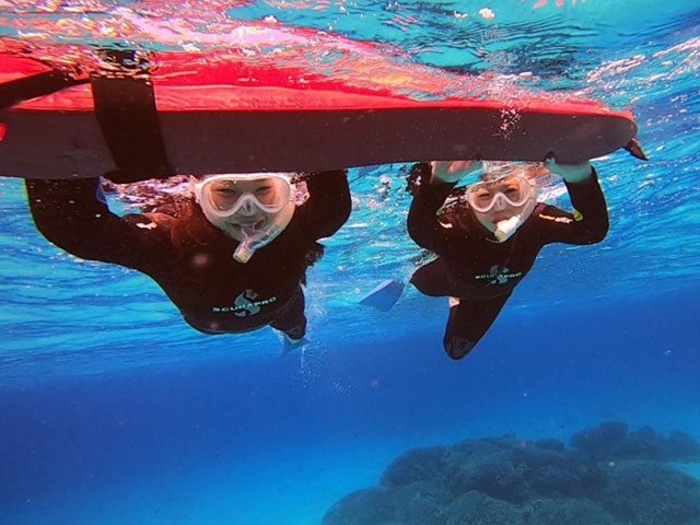 ■【PM】ボートで行く！サンゴと海ガメスノーケル付き♪個性にあふれる八重山諸島！組合せ自由自在の人気ツアー！石垣島・竹富島・西表島ホテルチョイス2泊3日（フリープラン）2