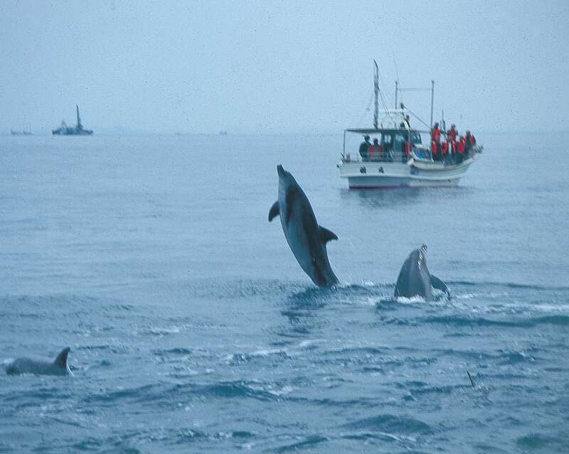 【三沢空港発】 BLACK＆RED！黒赤ミステリーツアー 3日間1