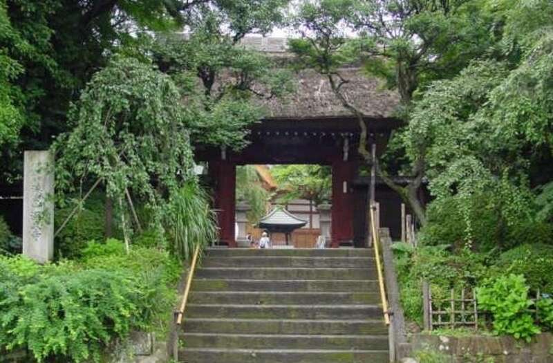 【群馬県内発】 昭和記念公園コスモスとドラマの舞台・深大寺　高幡不動尊　日帰り2