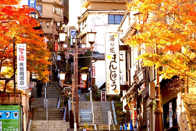 【新宿発】＜イチオシ新コース＞秋の味覚と紅葉満喫ツアー！松茸香る上州御膳の昼食＆伊香保温泉「河鹿橋」幻想的な紅葉ライトアップに感動！！話題の群馬名物「焼きまんじゅう」のおやつに「きのこ狩り」まで満載♪安心の夕食弁当付き！　日帰りバスツアー2