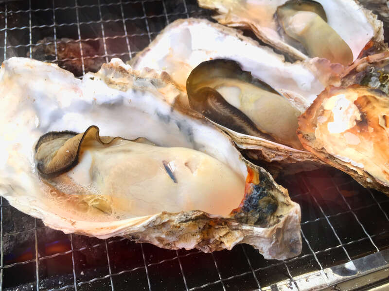【東京都内発※町田を除く】 牡蠣にホタテにサザエ！ 伊豆海鮮浜焼きまんぷく食べ放題 できたて牛乳付！静岡県のブランド牛乳「丹那牛乳」工場見学　日帰り2