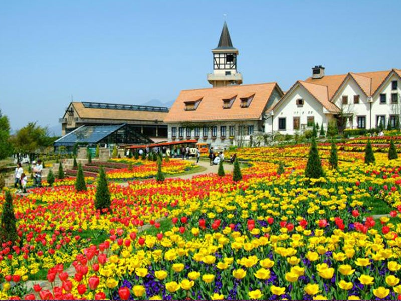 🔥1/11催行決定🔥【新宿発】8,000円台～ぶっとび格安✨「いちご狩り🍓」×「信玄餅詰め放題」×「ハイジの村でバイキング🍳」×「ワイン🍷飲み比べ放題」山梨グルメ旅🍴（いちご大福作り体験＆ミニワインボトルプレゼント♪）3