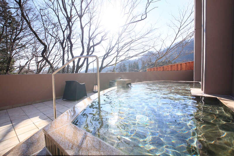 【群馬県内発】 1泊3食付！年度末大感謝ミステリーツアー　開湯400年の歴史ある温泉でゆったりのんびり１８時間滞在 ２日間3