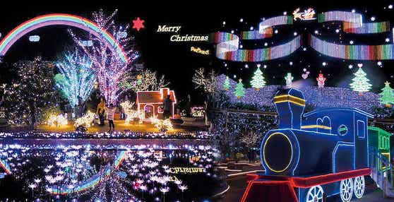 【埼玉県内発】 あしかがフラワーパーク光の花の庭イルミネーションと足利織姫神社ライトアップ・ 地元で人気レストランTSUMIKI　日帰り