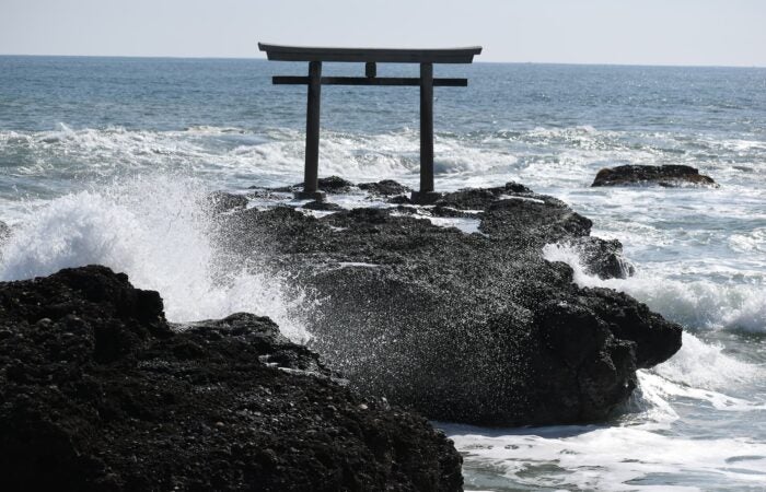 【西船橋発】コキア鑑賞　真っ赤に染まる国営ひたち海浜公園のもこもこコキア鑑賞と絶景の常陸国パワースポット「大洗磯前神社」＆かねふくめんたいパーク2