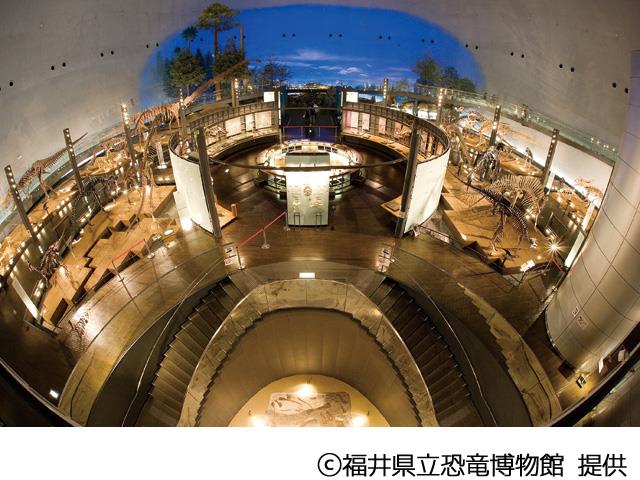 ■レンタカー付き　2023年7月14日リニューアルOPEN！＜福井県立恐竜博物館入館引換券付き＞　宿泊はお好きなホテル・旅館を選択！　北陸シティホテル＆温泉チョイス　2泊3日2