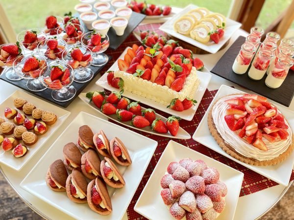 ★2/12 催行決定★【横浜発】あしかがイルミ＆ランチビュッフェ 日本三大イルミネーション『あしかがフラワーパーク』イルミネーション＆いちごの里『スイーツ付♪ビュッフェ』2