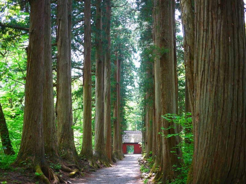 【富山県内発】 戸隠神社と戸隠そば 日帰り3