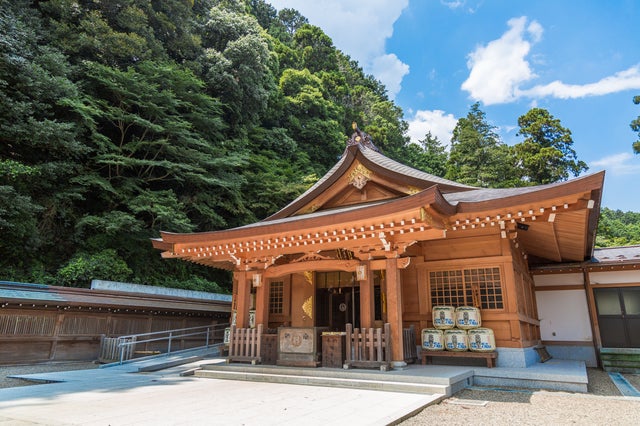 ＜Web割対象商品＞【キングツアーバス旅】曼珠沙華の里「巾着田」と パワースポット高麗神社・川越名物うな重の昼食〔新宿・調布発〕2